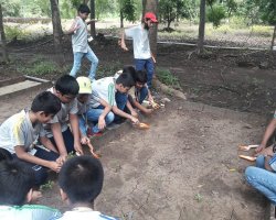 Std VI Field Trip to Eco Farm at Wada